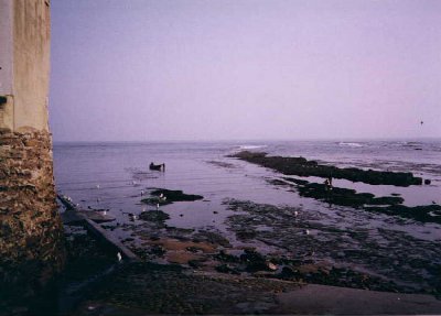 The sea at Robin Hoods Bay